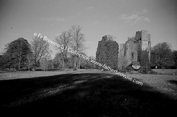 BIRR CASTLE  RUINS OF TELESCOPE HOUSE AND DETAILS